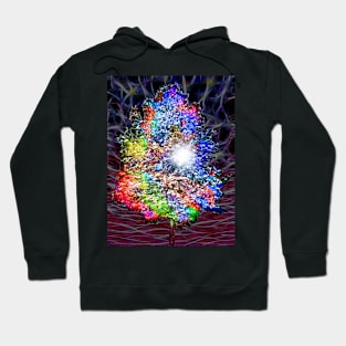 Colorful Night Tree Hoodie